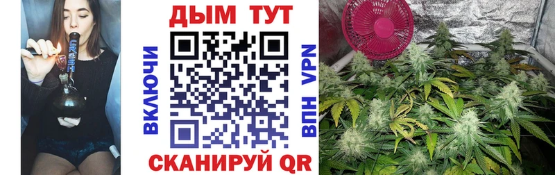 Виды наркоты Гаврилов Посад Гашиш  Конопля  Экстази  Меф 