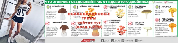 ПСИЛОЦИБИНОВЫЕ ГРИБЫ Алексеевка