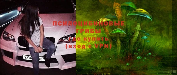 spice Алзамай