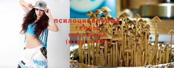 ПСИЛОЦИБИНОВЫЕ ГРИБЫ Алексеевка