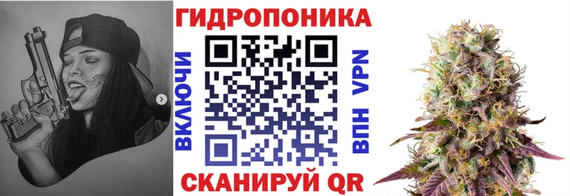 Шишки марихуана Amnesia  Гаврилов Посад 